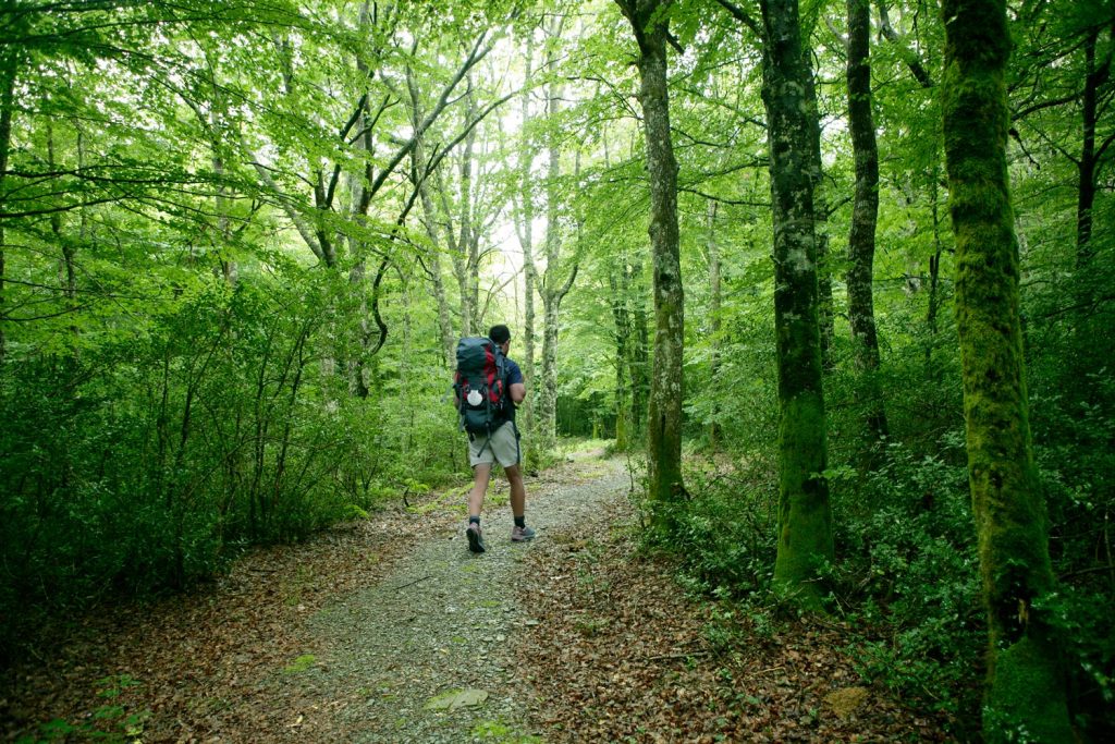 Rutas por Navarra: Descubre, explora y viaja con seguridad