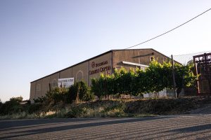 Bodegas Cadarso Ciordia