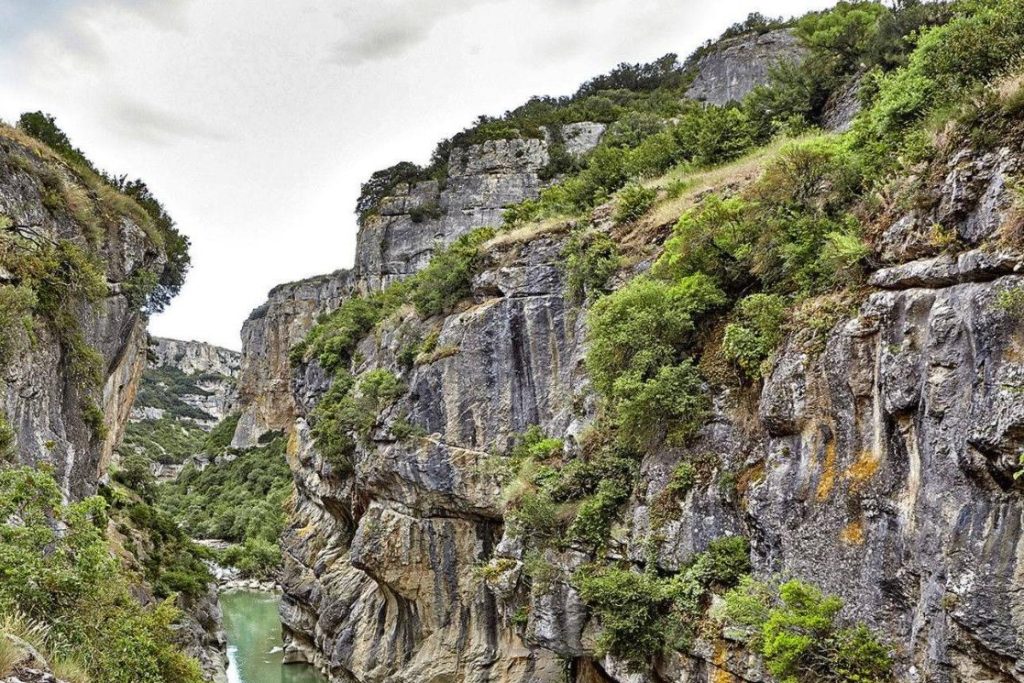 Cañón de Lumbier y Arbaiún: santuario de rapaces en Navarra