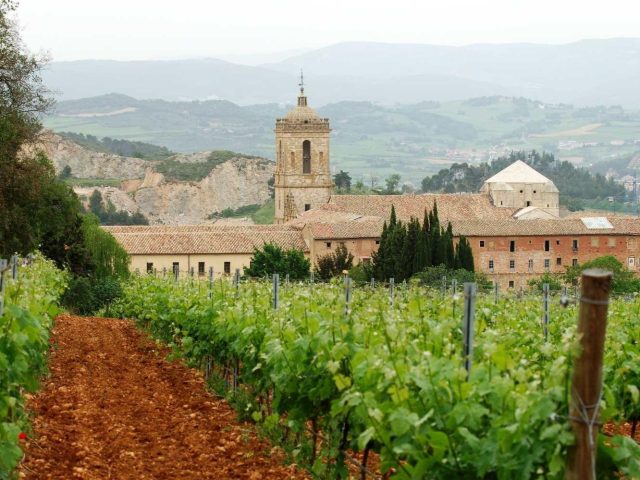 Enoturismo en Navarra: Experiencias para Todos los Públicos