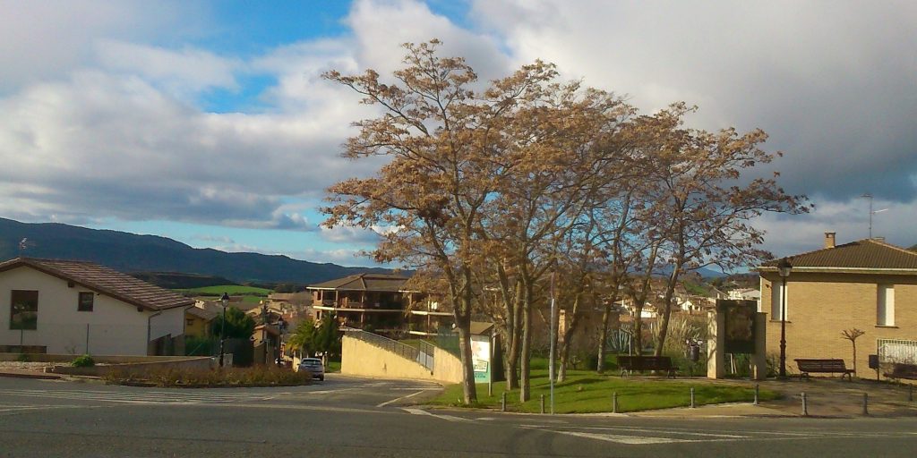 Mañeru