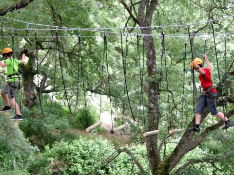 Parque Beigorri Aventura