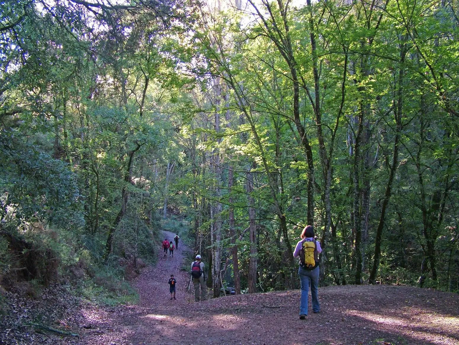 Rutas sencillas para explorar en familia