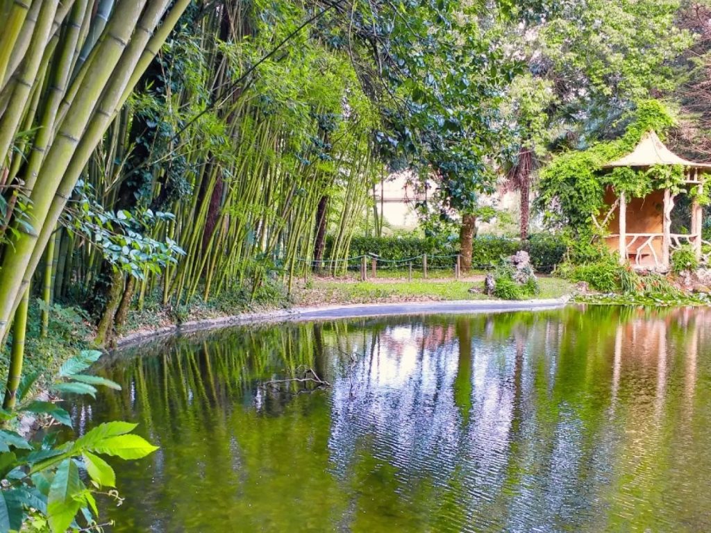 Señorío de Bertiz: oasis botánico y bosque atlántico