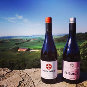 Bodegas Emilio Valerio