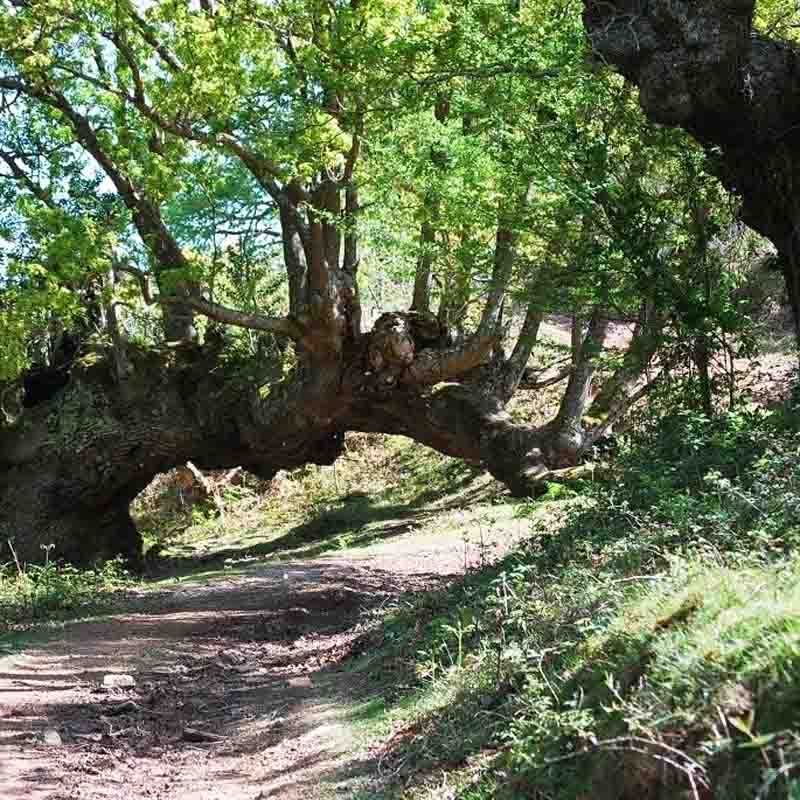 Ruta Rincón de Axular
