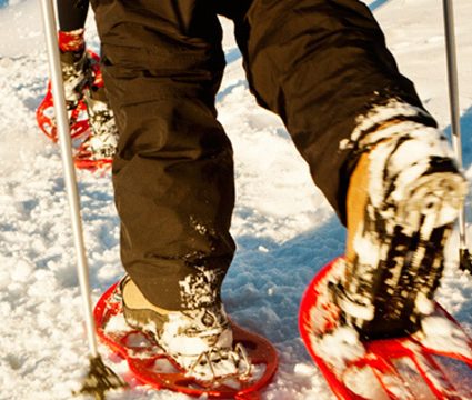 Larra-belagua - Raquetas.