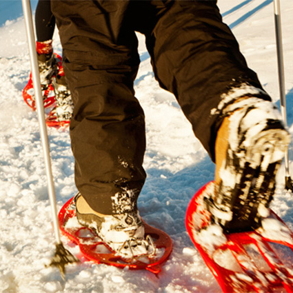 Larra-belagua - Raquetas.