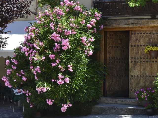 Casa Faustina