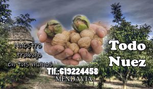 Todo Nuez Mendavia