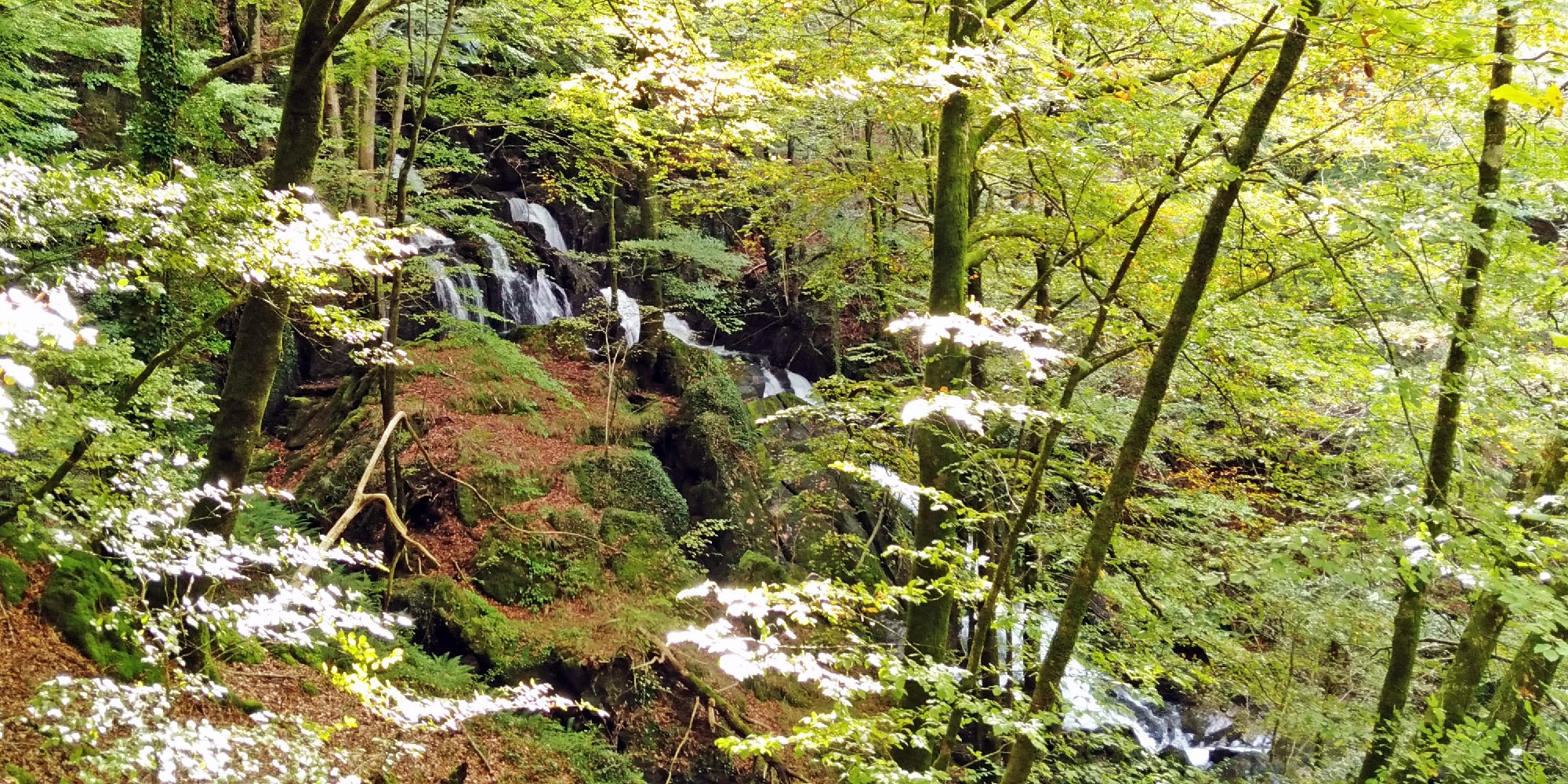 Cascadas de Torskata