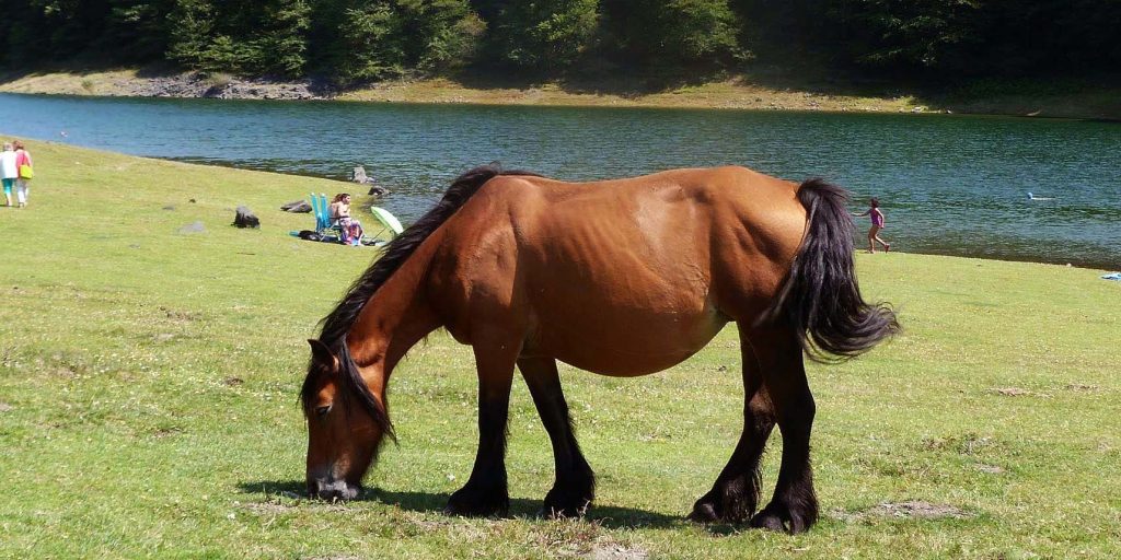 Embalse de Leurtza