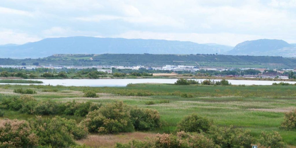 Laguna de las Cañas