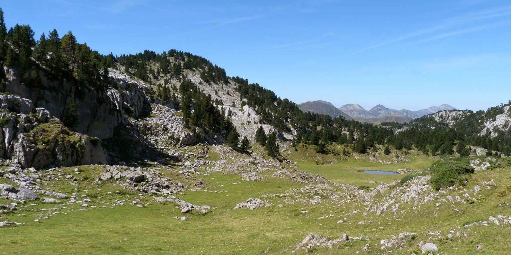 Larra-Arlás