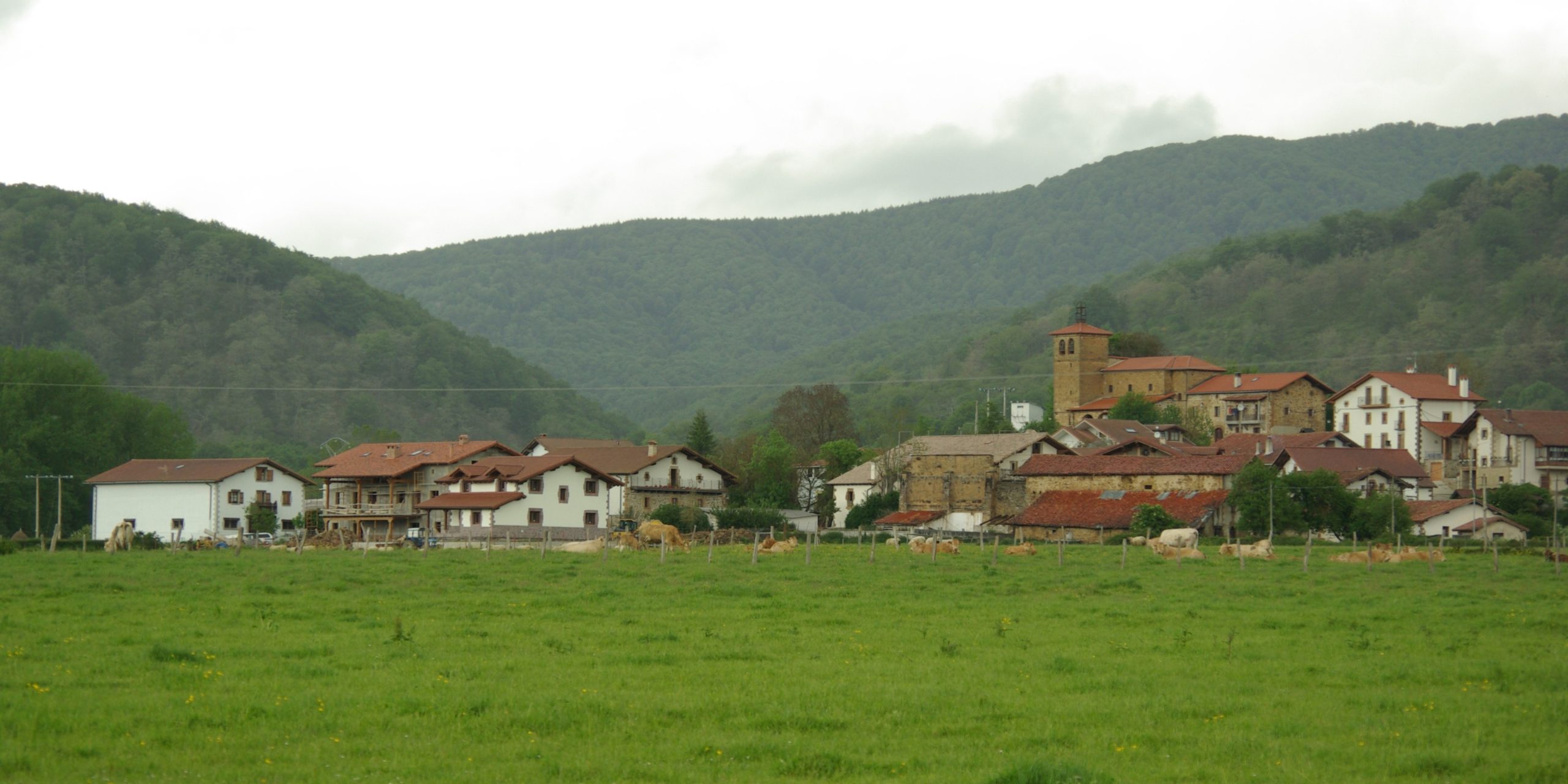 Elzaburu