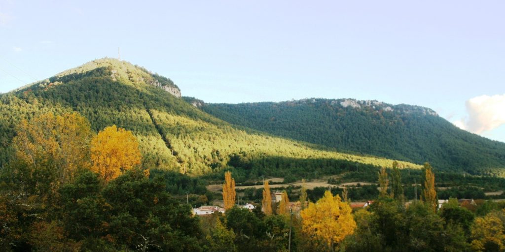 Güesa