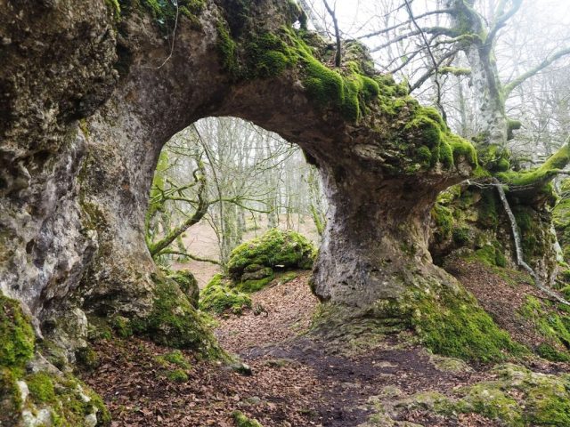Encanto verde de Urbasa-Andía: mesetas y bosques
