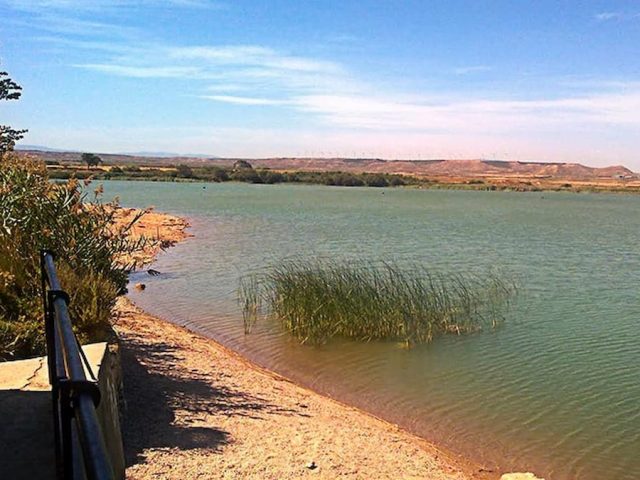 Ruta BTT: Cintruénigo – Balsa del Pulguer