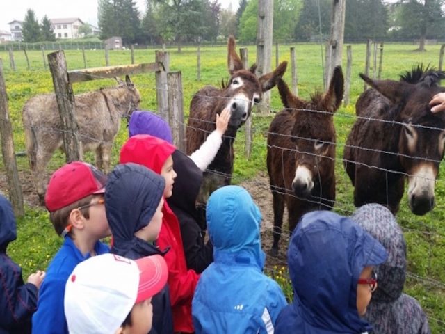 Granja Escuela Ultzama