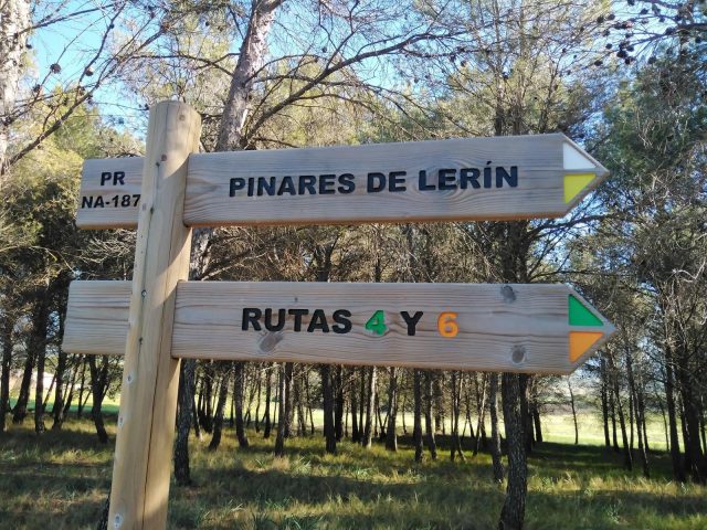 Ruta BTT: Pinares de Lerín