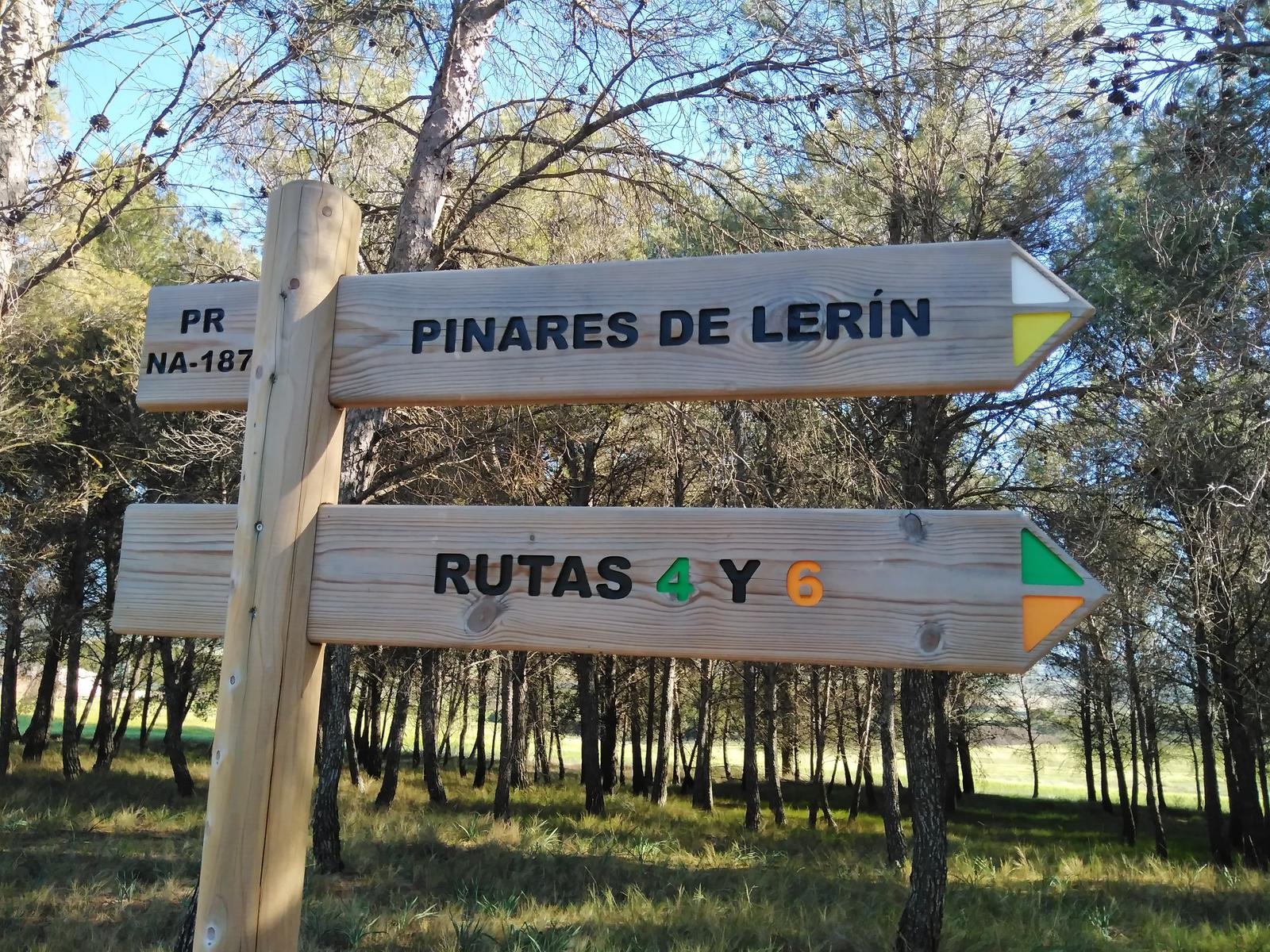 Pinares de Lerín
