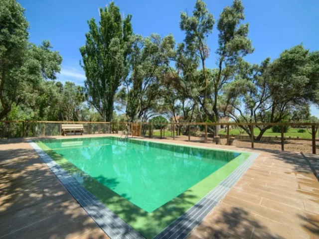Finca Olivar de las Bardenas