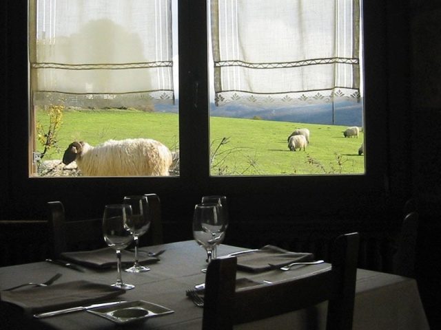 Alai Taberna