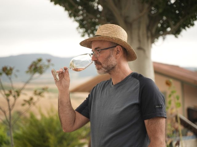 LMT Wines