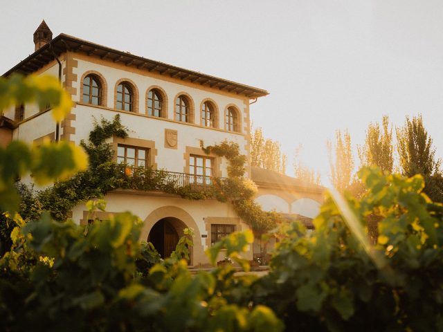 Bodegas Bagordi S.L.