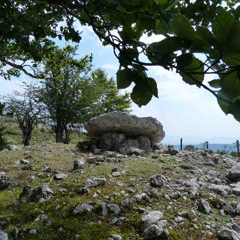 excursión al dolmen de larrazpil