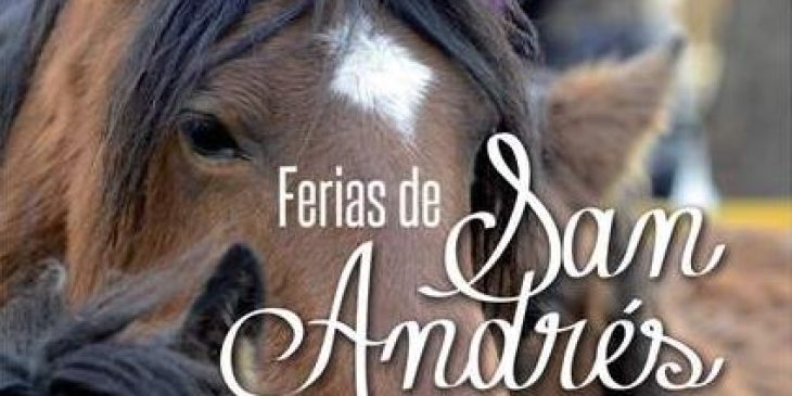 FERIAS DE SAN ANDRÉS – ESTELLA LIZARRA